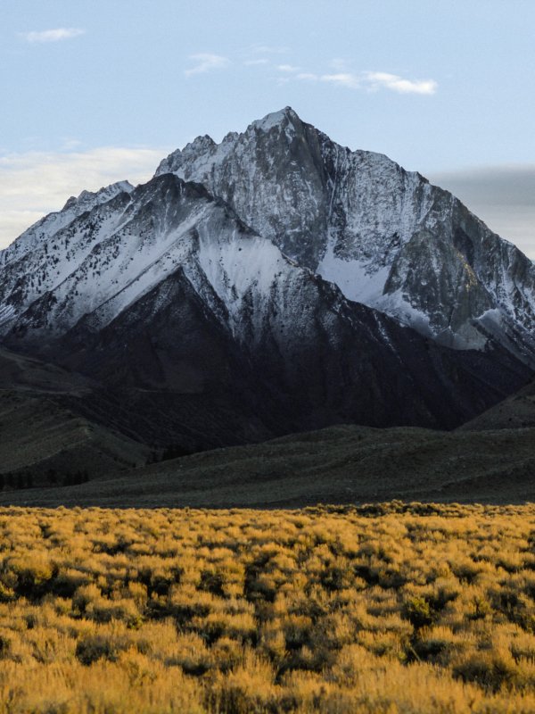 Meadow and mountain