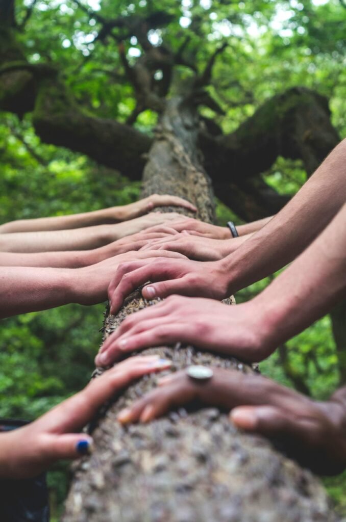 Hands on tree